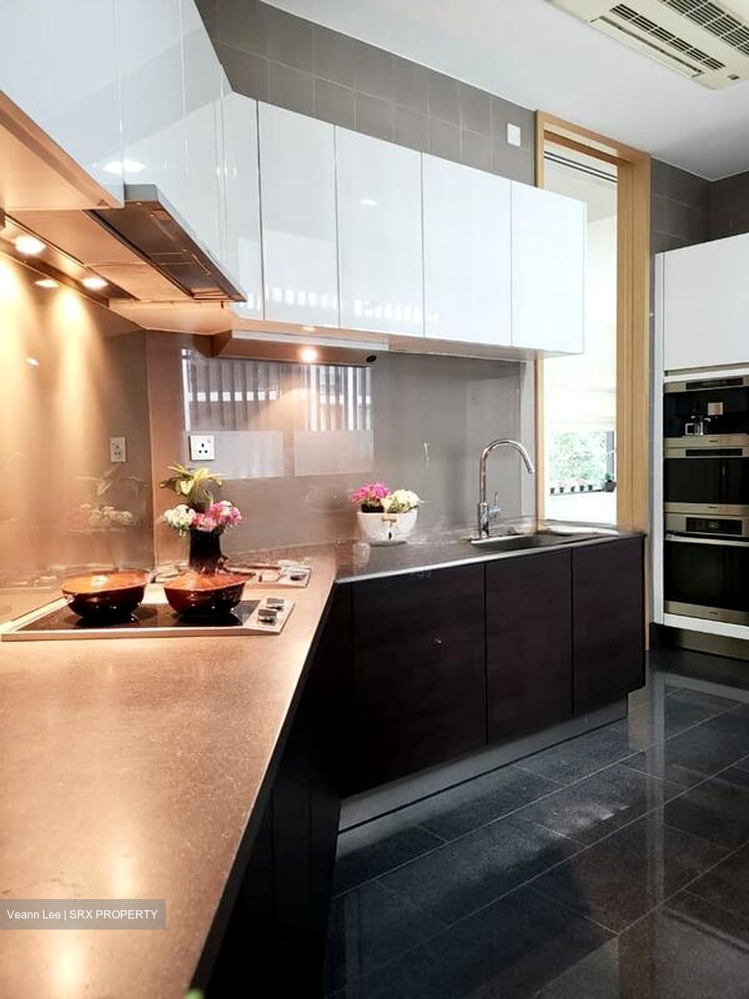 Belle Vue Residences (D9), Condominium #502715881